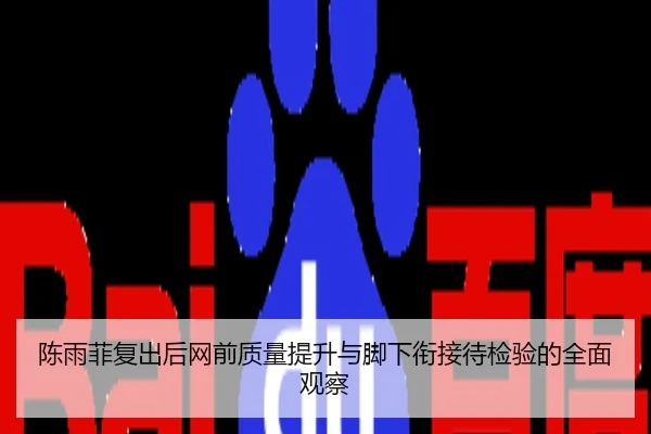 陈雨菲复出后网前质量提升与脚下衔接待检验的全面观察