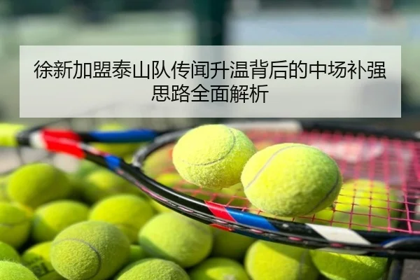 徐新加盟泰山队传闻升温背后的中场补强思路全面解析